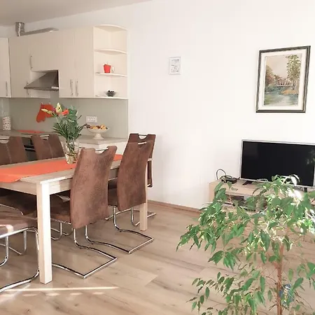 Prenocisca Rusjan Apartman Rence